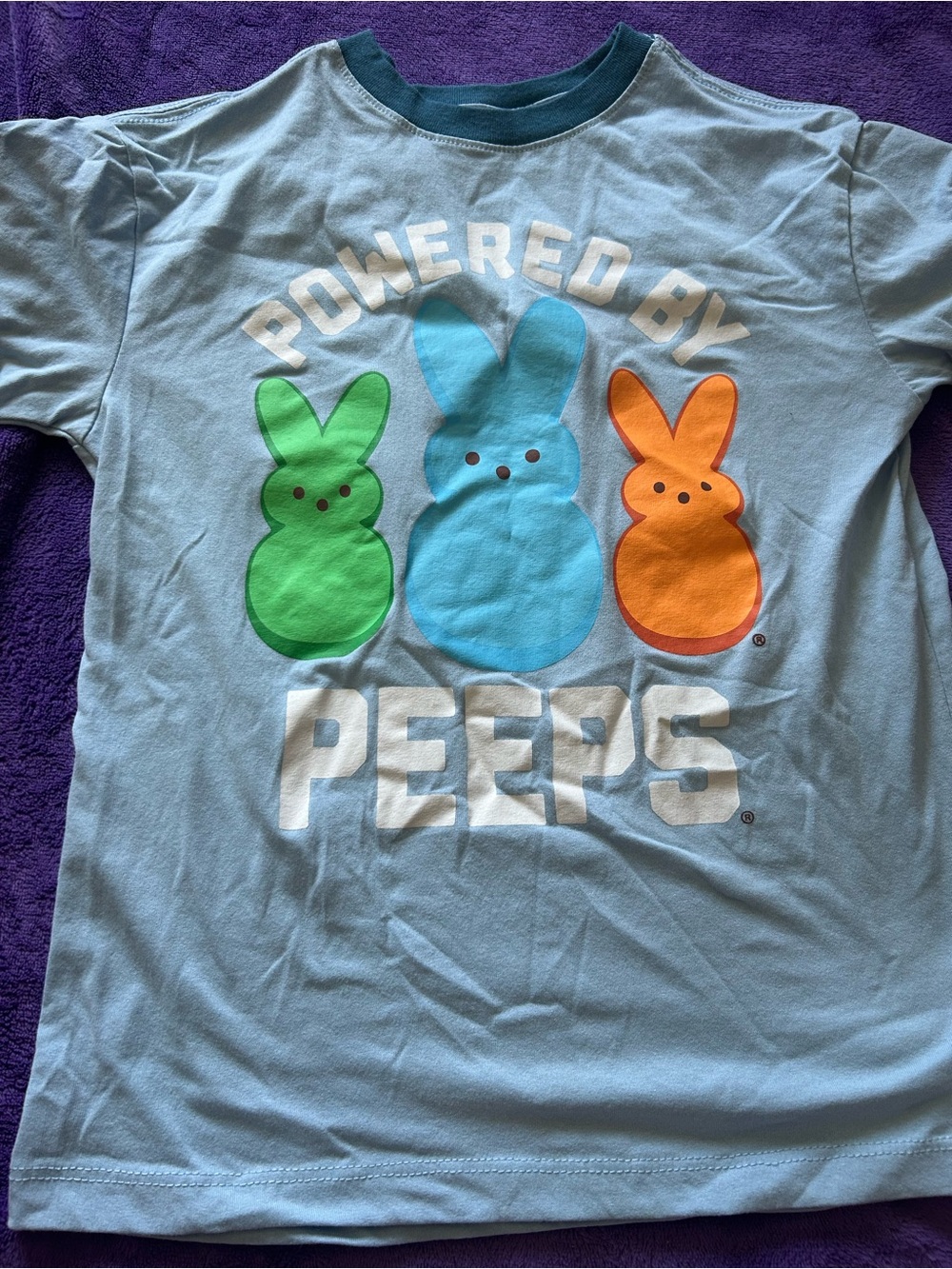 Peeps Light Blue Short Sleeve Graphic Tee for Kids